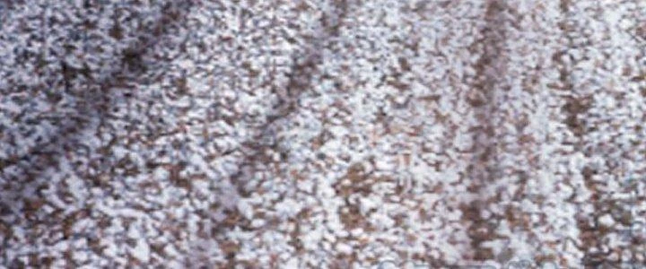 Ta Diệt Sát Chúng Thần Chapter 76 - Trang 2