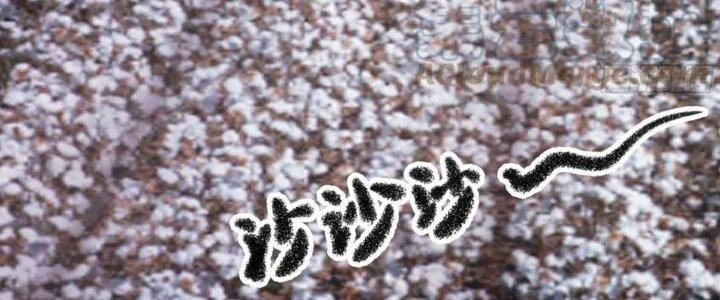 Ta Diệt Sát Chúng Thần Chapter 76 - Trang 2