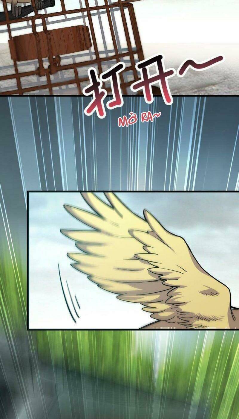 Ta Độ 999 Lần Thiên Kiếp Chapter 8 - Trang 2