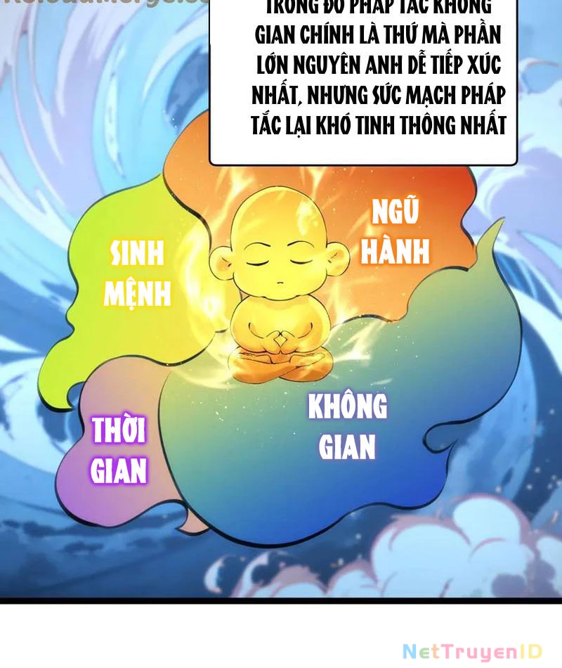 Ta Đoạt Xá Người Chơi Hệ Thống Chapter 117 - Trang 2
