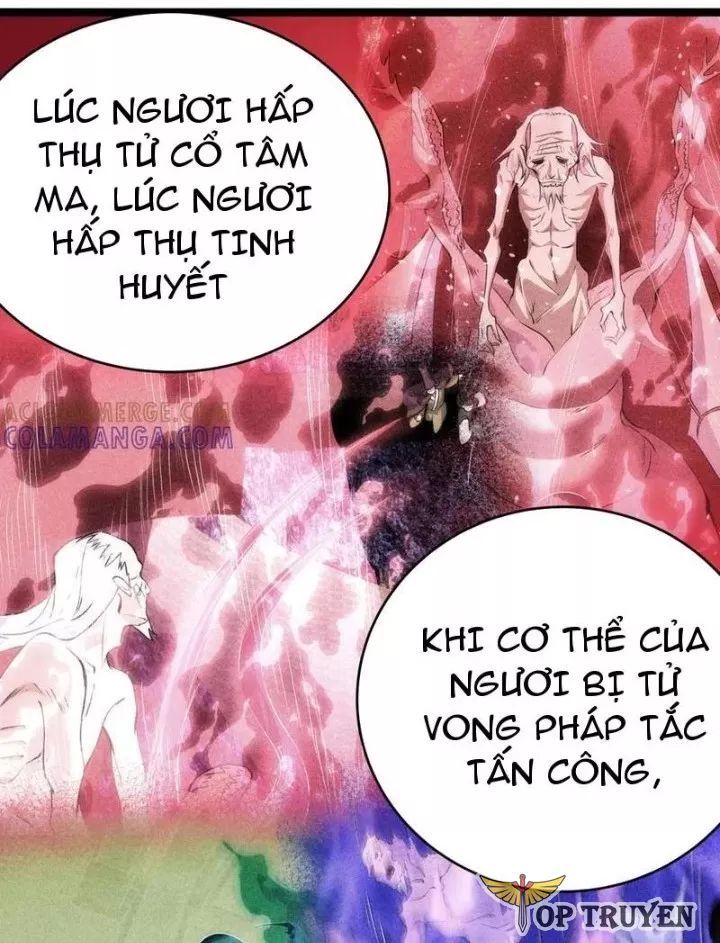 Ta Đoạt Xá Người Chơi Hệ Thống Chapter 163 - Trang 2