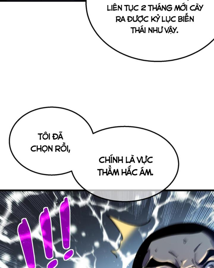 Ta Dựa Vào Bị Động Vô Địch Đánh Ra Cả Tấn Sát Thương Chapter 16 - Trang 2