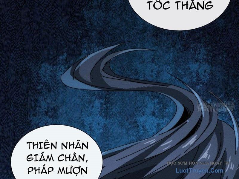 Ta Dựa Vào Tu Tiên Xưng Bá Mạt Thế Chapter 28 - Trang 2