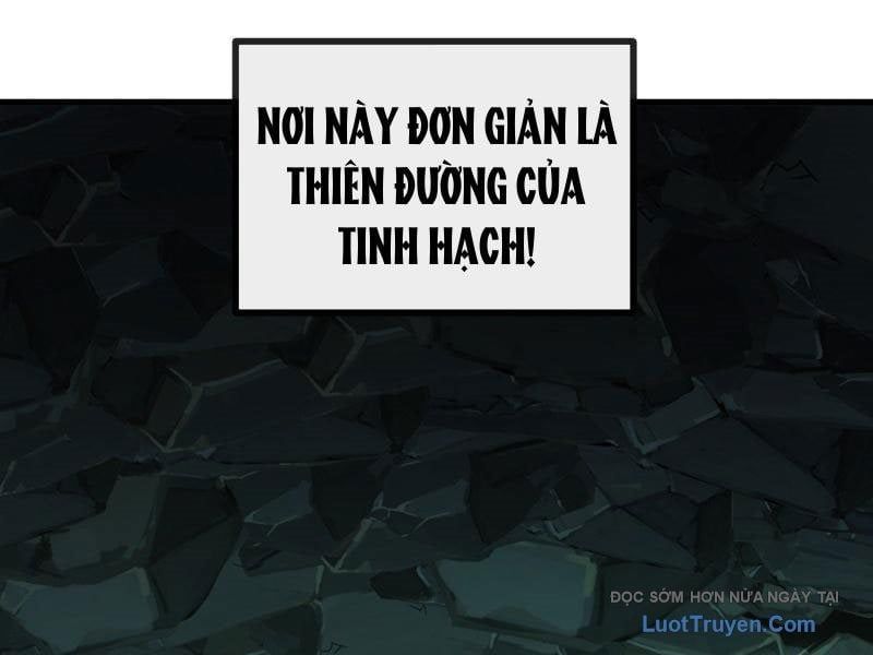 Ta Dựa Vào Tu Tiên Xưng Bá Mạt Thế Chapter 28 - Trang 2
