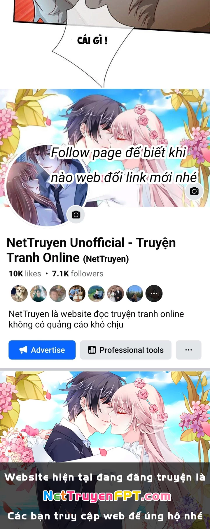 Ta Được Nuôi Dưỡng Bởi Nữ Ma Đầu Chapter 12 - Trang 2
