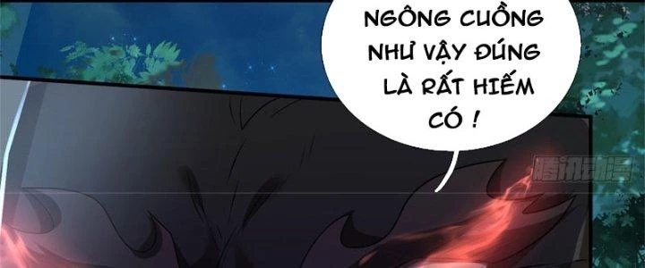 Ta Được Nuôi Dưỡng Bởi Nữ Ma Đầu Chapter 13 - Trang 2