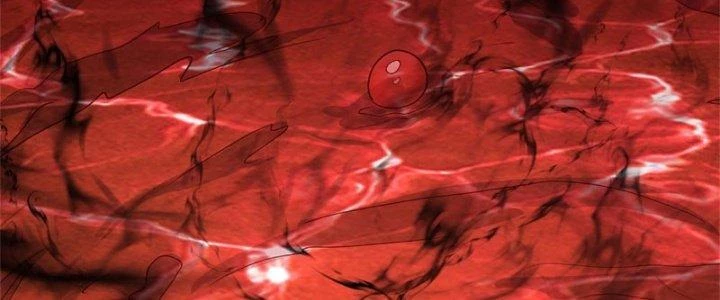 Ta Được Nuôi Dưỡng Bởi Nữ Ma Đầu Chapter 14 - Trang 2