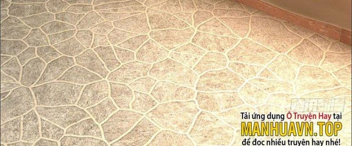 Ta Được Nuôi Dưỡng Bởi Nữ Ma Đầu Chapter 24 - Trang 2