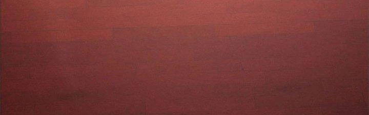 Ta Được Nuôi Dưỡng Bởi Nữ Ma Đầu Chapter 33 - Trang 2