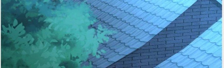 Ta Được Nuôi Dưỡng Bởi Nữ Ma Đầu Chapter 35 - Trang 2