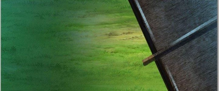 Ta Được Nuôi Dưỡng Bởi Nữ Ma Đầu Chapter 39 - Trang 2