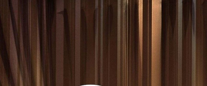 Ta Được Nuôi Dưỡng Bởi Nữ Ma Đầu Chapter 41 - Trang 2