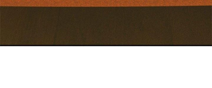 Ta Được Nuôi Dưỡng Bởi Nữ Ma Đầu Chapter 45 - Trang 2