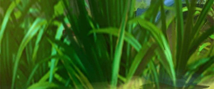 Ta Được Nuôi Dưỡng Bởi Nữ Ma Đầu Chapter 49 - Trang 2