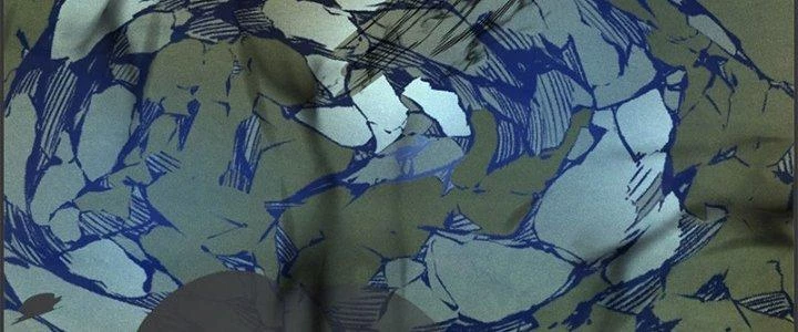 Ta Được Nuôi Dưỡng Bởi Nữ Ma Đầu Chapter 49 - Trang 2