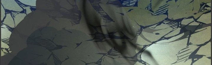 Ta Được Nuôi Dưỡng Bởi Nữ Ma Đầu Chapter 49 - Trang 2