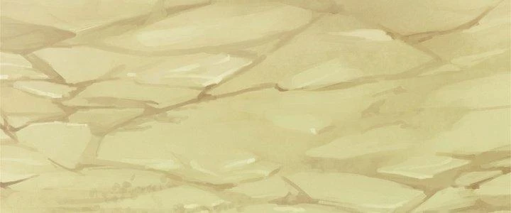 Ta Được Nuôi Dưỡng Bởi Nữ Ma Đầu Chapter 50 - Trang 2