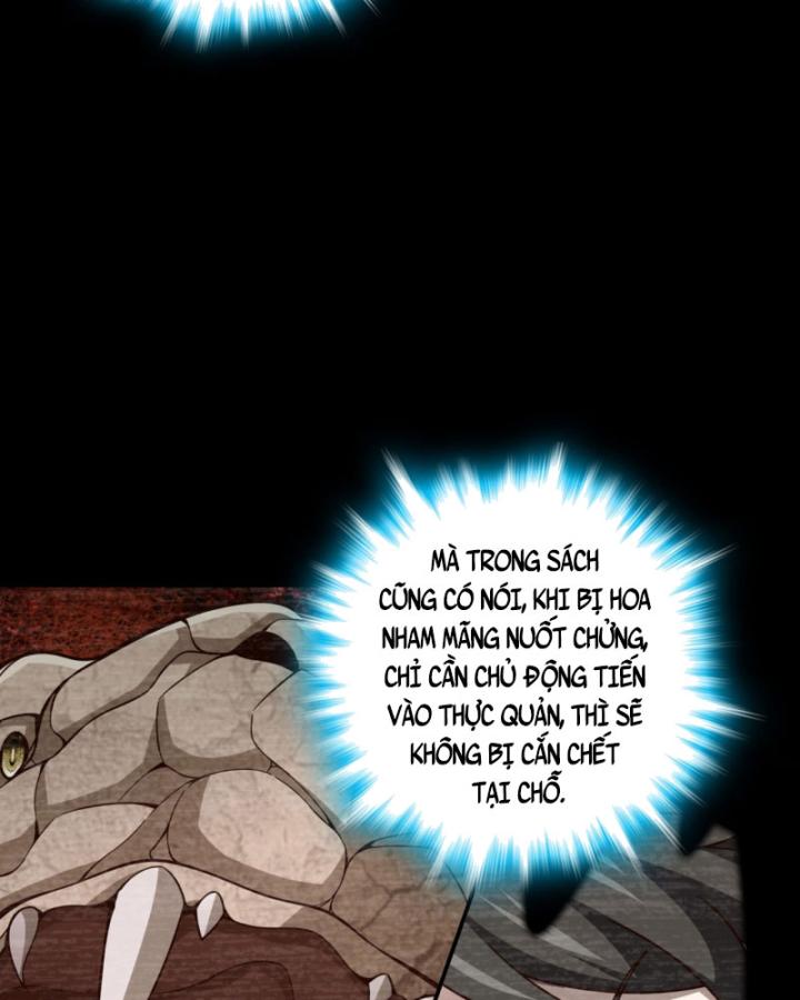 Ta, Hậu Duệ Thần Long Chapter 11 - Trang 2