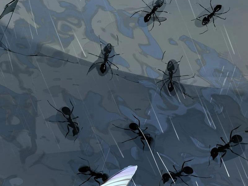 Ta Khiến Trăm Vạn Người Tu Tiên Tức Phát Khóc Chapter 58 - Trang 2