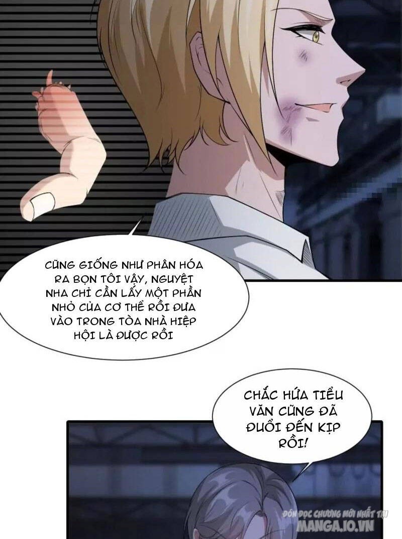 Ta Không Muốn Làm Đệ Nhất Chapter 175 - Trang 2