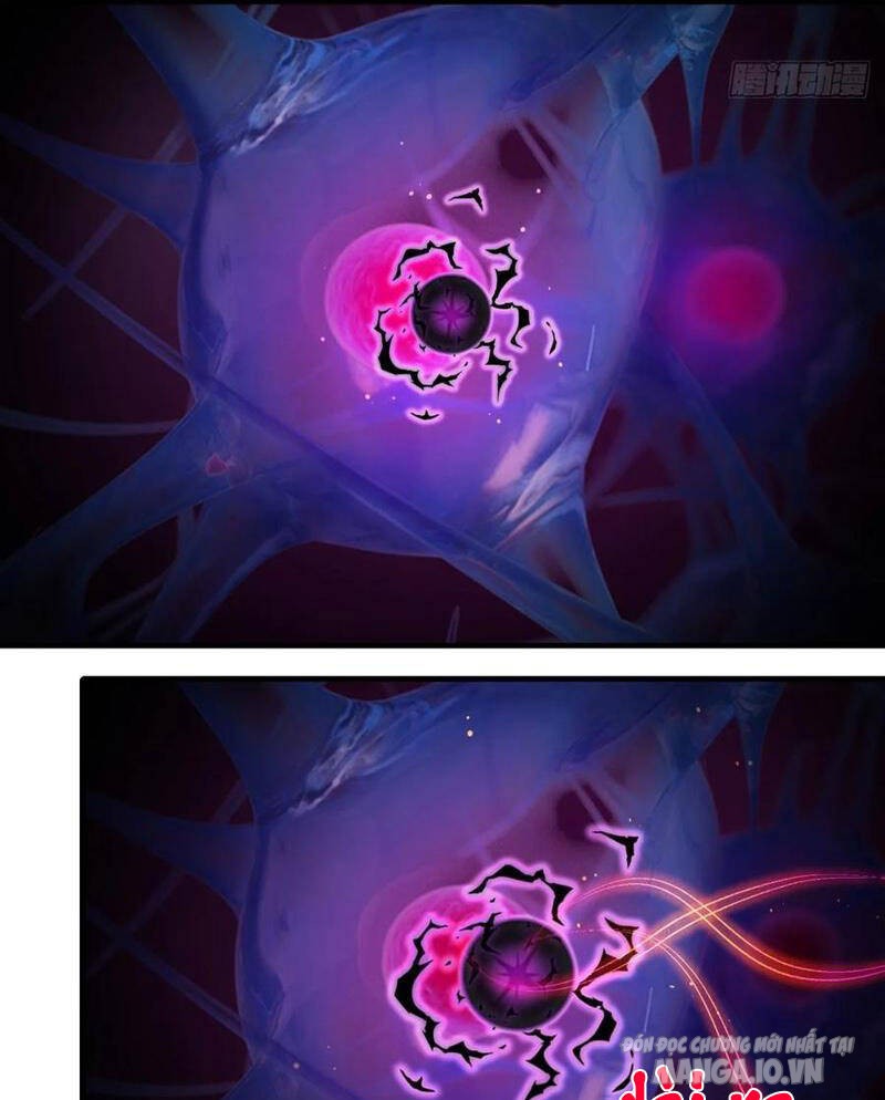 Ta Không Muốn Làm Đệ Nhất Chapter 184 - Trang 2