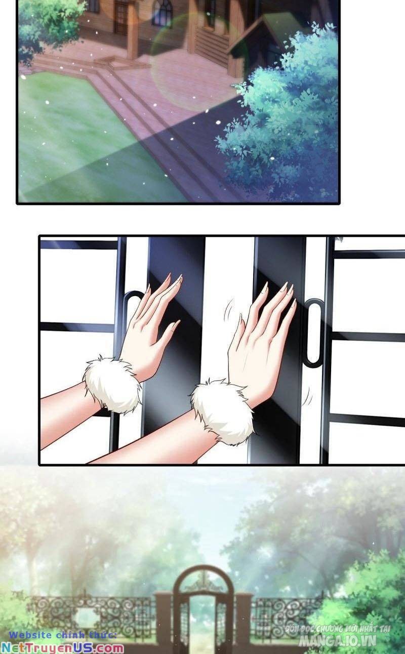 Ta Không Muốn Làm Đệ Nhất Chapter 200 - Trang 2