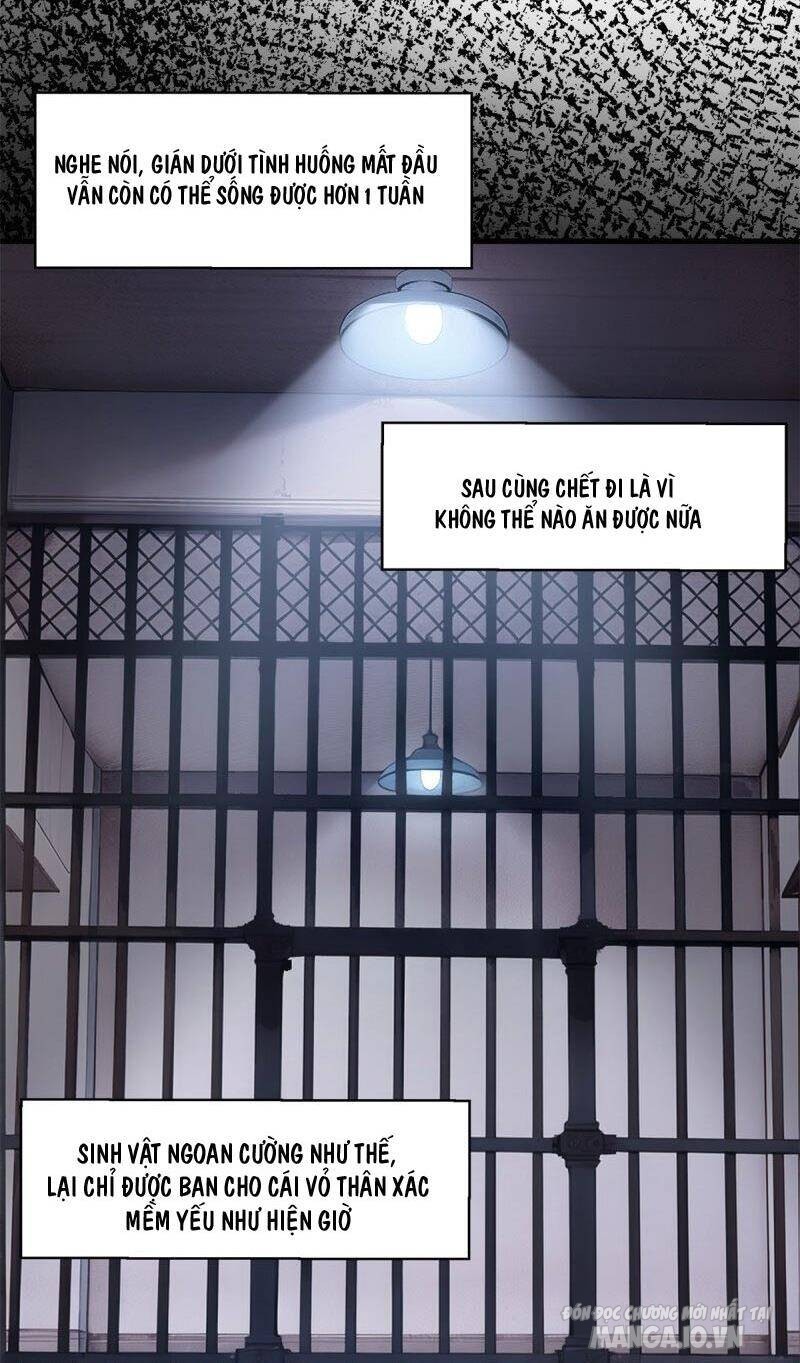 Ta Không Muốn Làm Đệ Nhất Chapter 216 - Trang 2