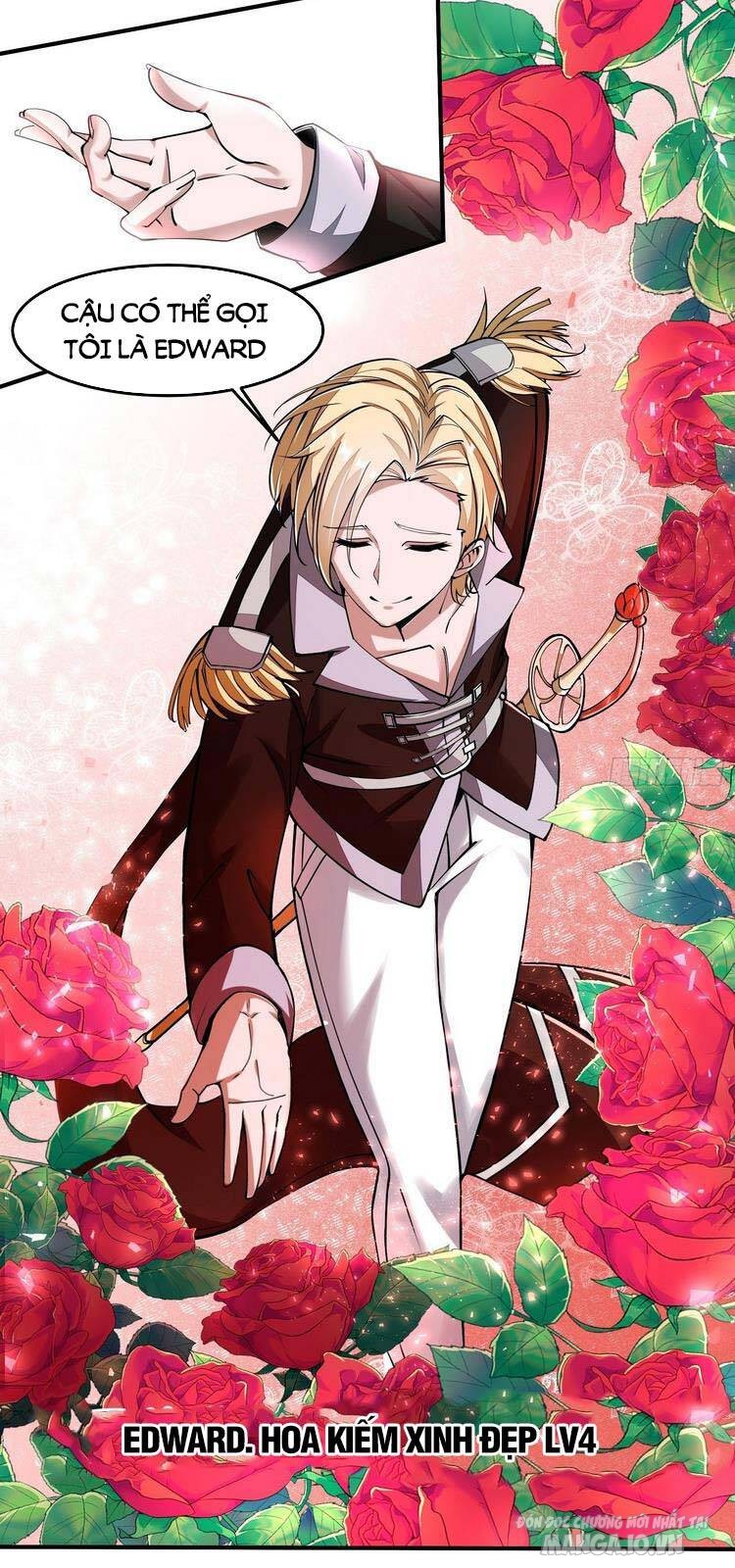 Ta Không Muốn Làm Đệ Nhất Chapter 23 - Trang 2