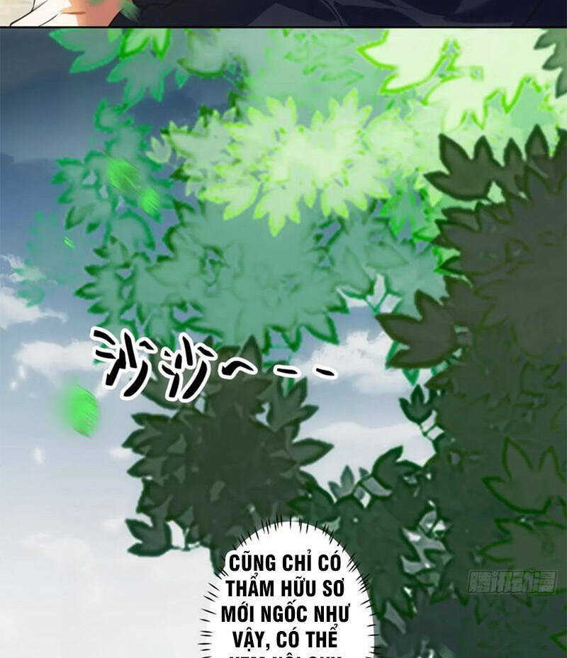 Ta Không Muốn Trùng Sinh Đâu Chapter 204 - Trang 2