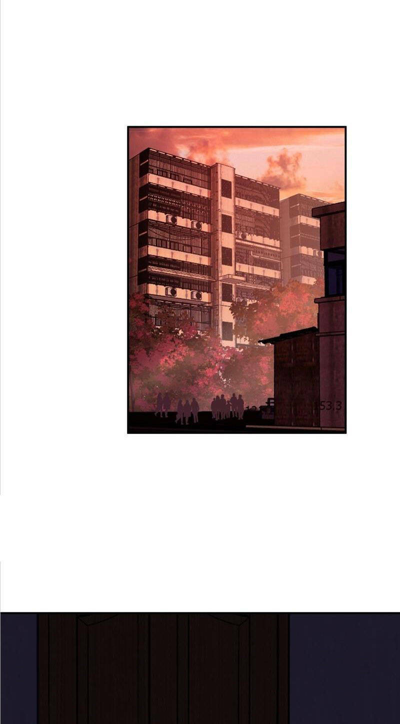 Ta Không Muốn Trùng Sinh Đâu Chapter 230 - Trang 2