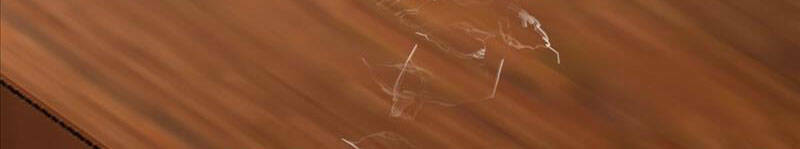 Ta Không Muốn Trùng Sinh Đâu Chapter 230 - Trang 2