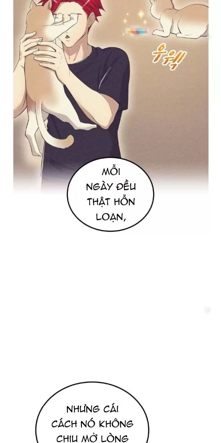 Ta Là Kẻ Siêu Việt Duy Nhất Chapter 20 - Trang 2