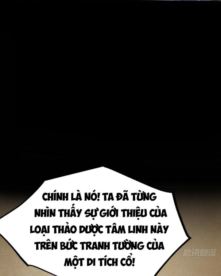 Ta Là Người Chính Nghĩa, Bị Hệ Thống Ép Làm Kẻ Phản Diện! Chapter 34 - Trang 2