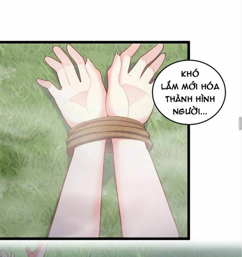 Ta Là Nhân Vật Phản Diện Đại Thiếu Gia Chapter 66 - Trang 2