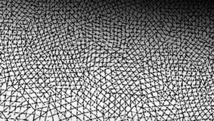 Ta Là Tà Đế Chapter 362 - Trang 2