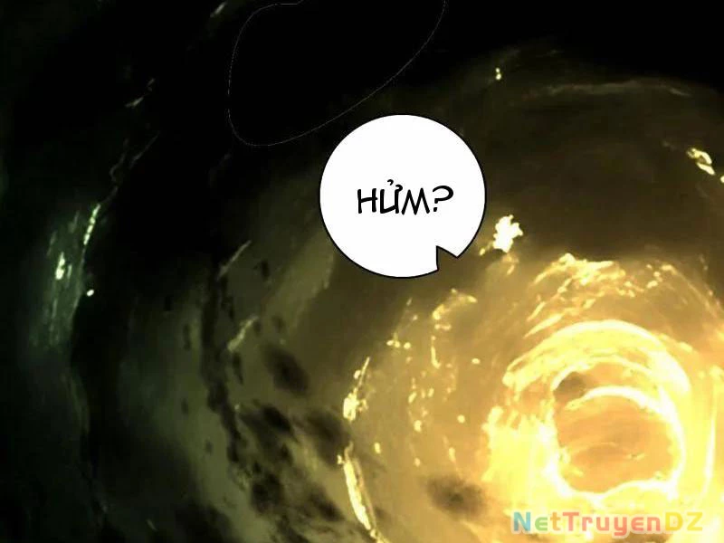 Ta Là Tà Đế Chapter 533 - Trang 2