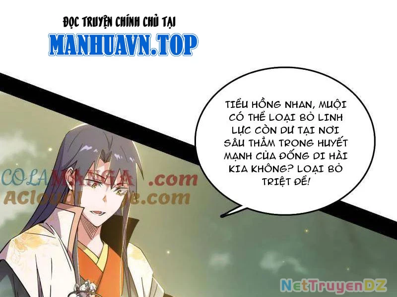 Ta Là Tà Đế Chapter 533 - Trang 2