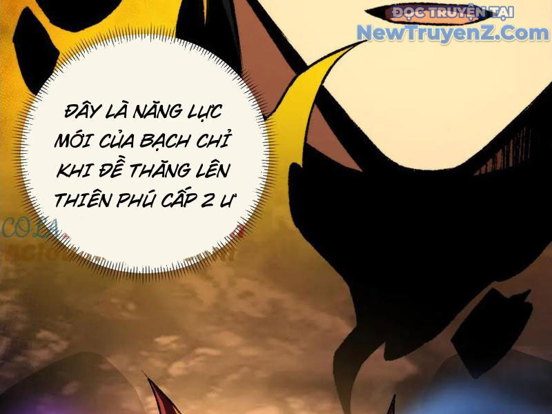 Ta Là Tai Họa Cấp Mục Sư Chapter 39 - Trang 2