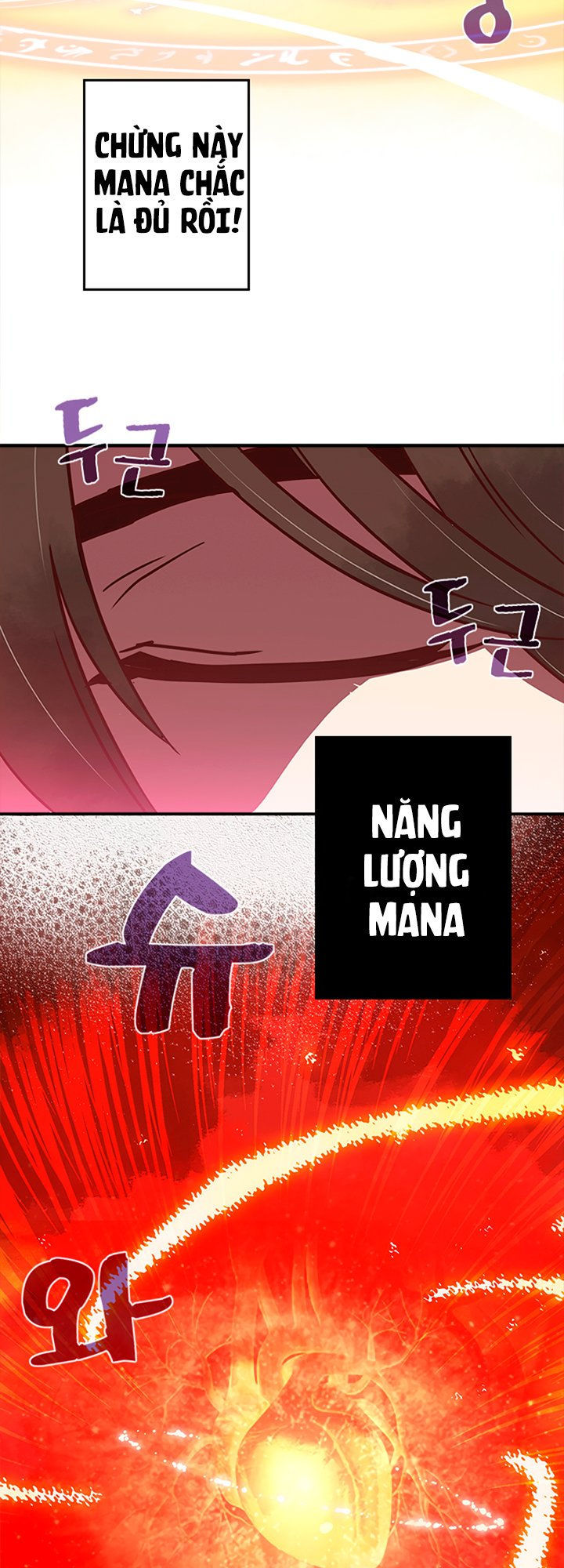 Ta Là Vua Pháp Sư Chapter 15 - Trang 2