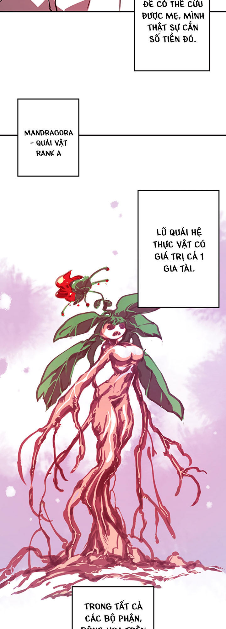 Ta Là Vua Pháp Sư Chapter 2 - Trang 2