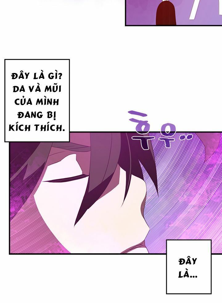 Ta Là Vua Pháp Sư Chapter 34 - Trang 2