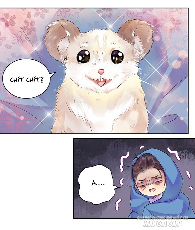 Ta Làm Lớn Ở Hậu Cung Chapter 77 - Trang 2