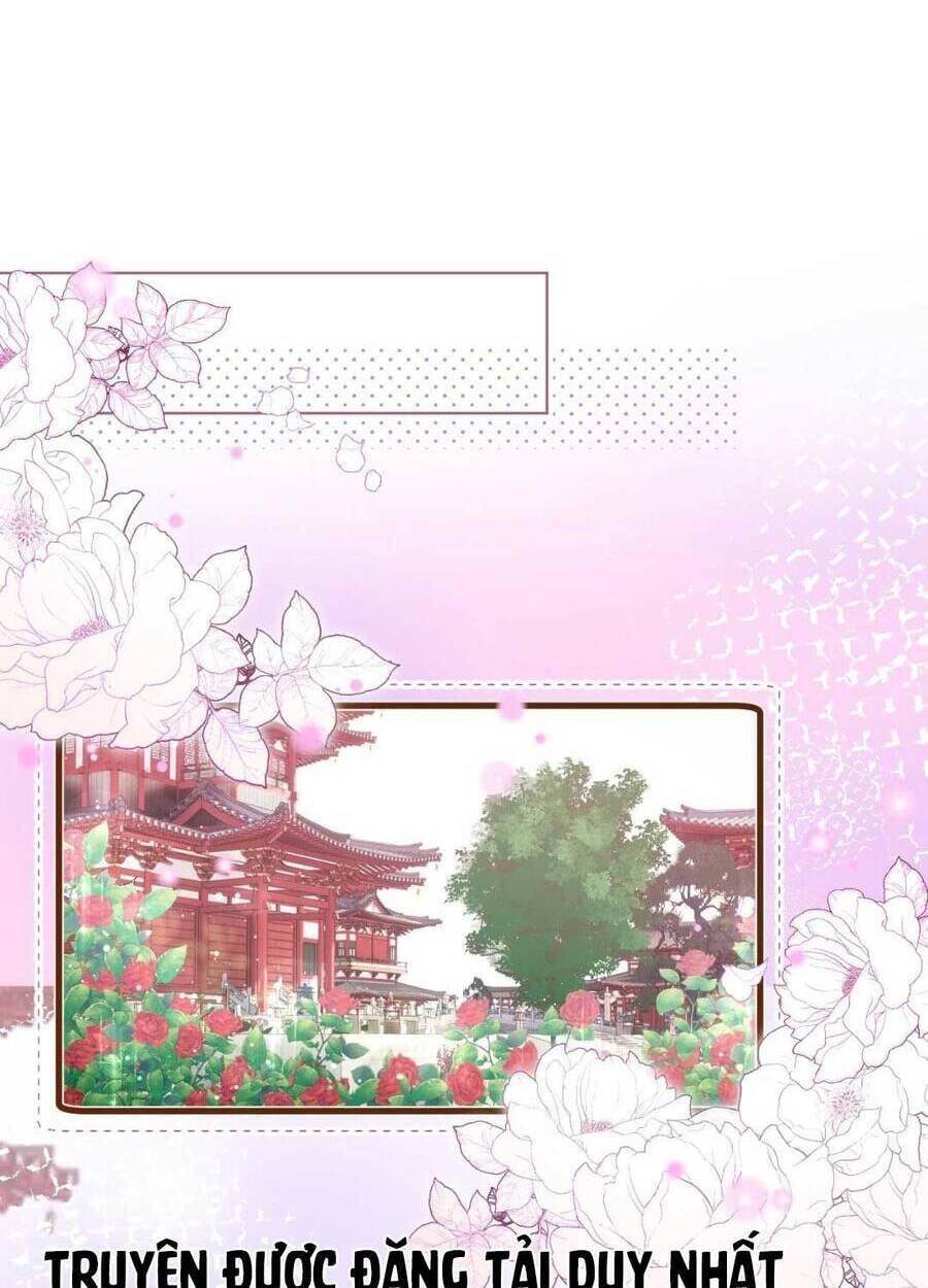 Ta Live Stream Trong Lãnh Cung Chapter 5 - Trang 2