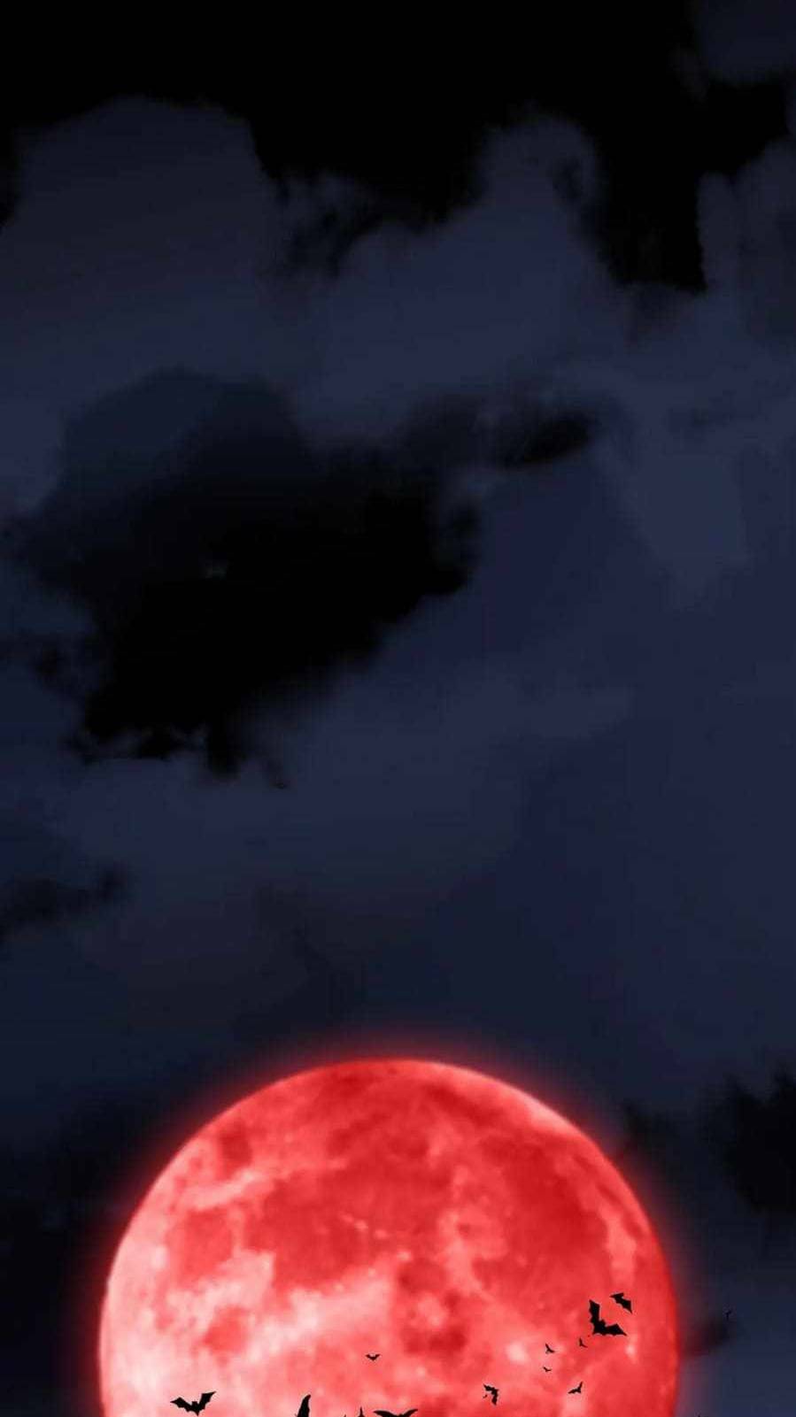 Ta Mắc Kẹt Ở Ngày Này Đã 3000 Năm Chapter 11 - Trang 2