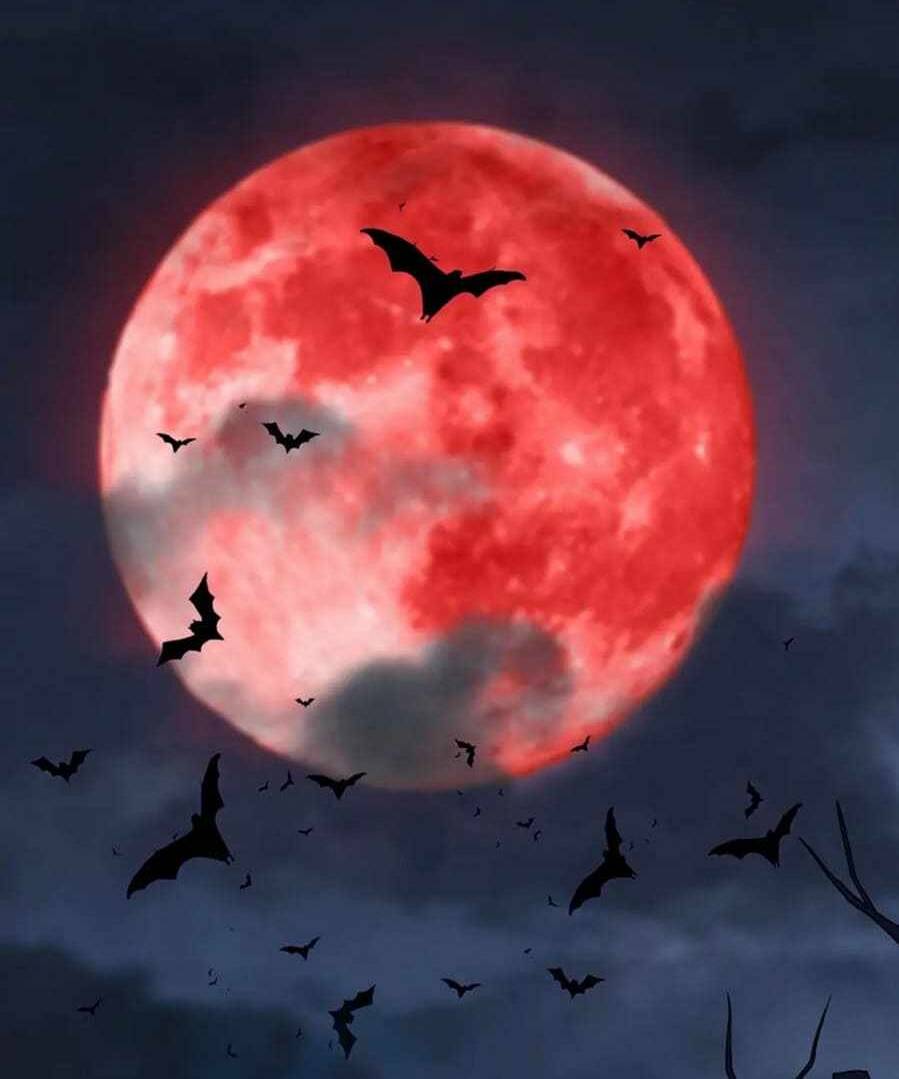 Ta Mắc Kẹt Ở Ngày Này Đã 3000 Năm Chapter 12 - Trang 2