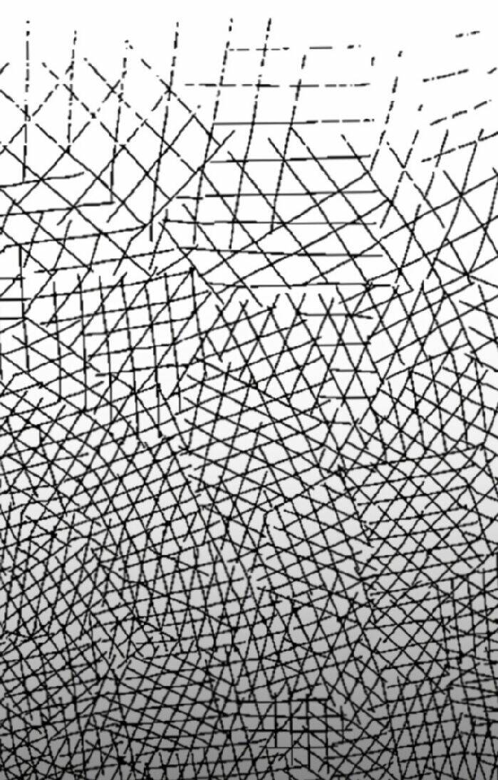 Ta Mắc Kẹt Ở Ngày Này Đã 3000 Năm Chapter 3 - Trang 2