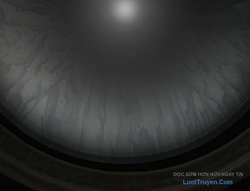 Ta Mô Phỏng Con Đường Trường Sinh Chapter 3 - Trang 2