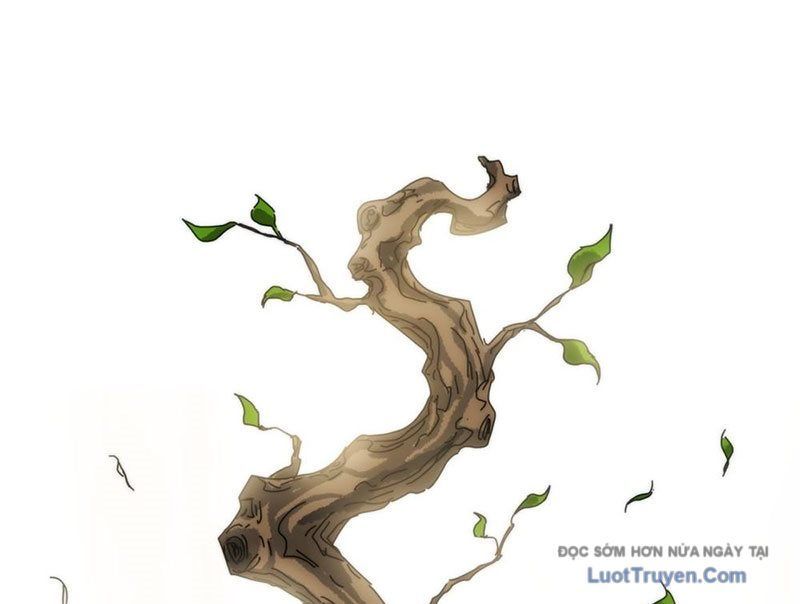 Ta Mô Phỏng Con Đường Trường Sinh Chapter 3 - Trang 2