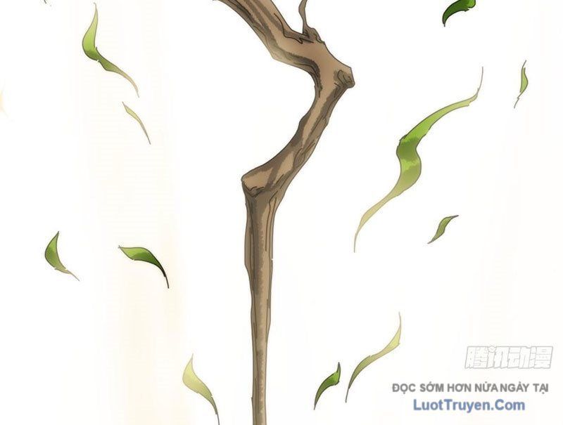 Ta Mô Phỏng Con Đường Trường Sinh Chapter 3 - Trang 2