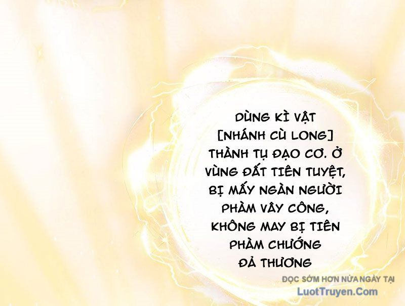 Ta Mô Phỏng Con Đường Trường Sinh Chapter 3 - Trang 2